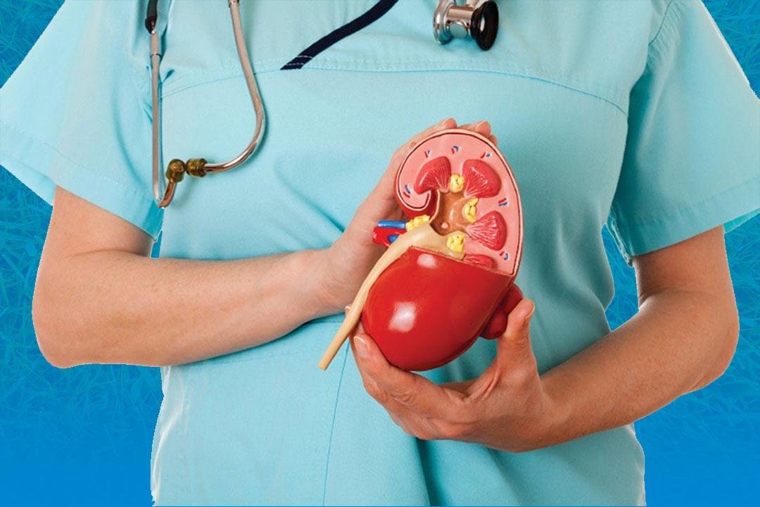 حصوات الكلى: أسبابها وطرق الوقاية والعلاج